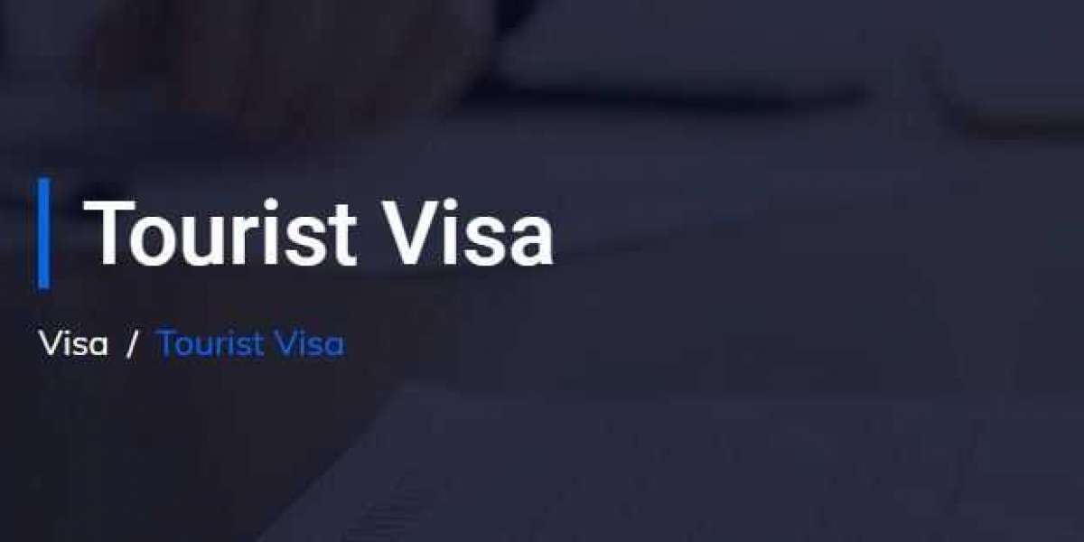 What is the process of Australian Tourist Visa application and process time