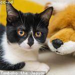 Herman Hoeger Profile Picture