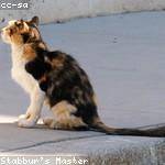 Zaria Quitzon Profile Picture