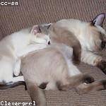 Marta Konopelski Profile Picture