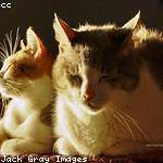 Aiden Cartwright Profile Picture