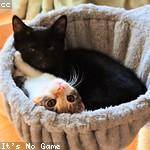 Kassandra Dach Profile Picture