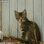 Chesley Tromp Profile Picture