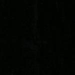 Goodtribe Profile Picture