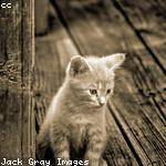 Nannie Harber Profile Picture