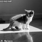 Delia Feeney Profile Picture