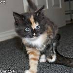 Ernestine Ferry Profile Picture