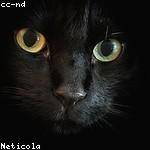 Maryse Terry Profile Picture