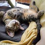 Mekhi Marvin Profile Picture