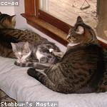 Manuel Hill Profile Picture