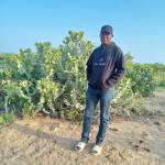 Elias kauli Nguta Profile Picture