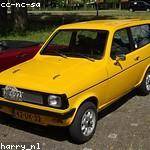 Domenick Runte Profile Picture