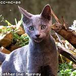 Destany Haley Profile Picture