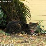 Zora Hickle Profile Picture