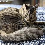 Kaylie Ullrich Profile Picture