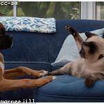 Royce Greenfelder Profile Picture