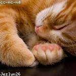 Ezequiel Huel Profile Picture