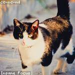 Ariane Hoppe Profile Picture