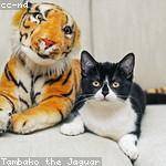 Vivien Bechtelar Profile Picture