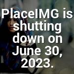 Hertha Koelpin Profile Picture