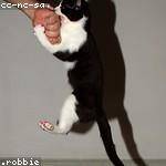 Sonia Sawayn Profile Picture