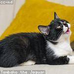 Eleonore Prohaska Profile Picture