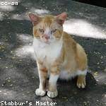 Geovanni Stroman Profile Picture