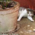 Jeff Effertz Profile Picture