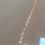 Cynthia Bailey Profile Picture