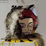 Maxine Tillman Profile Picture