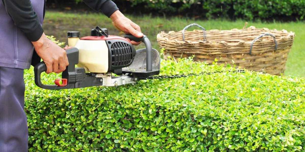 Get hedge trimming service in Bellingham