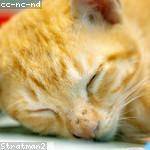 Ariel Spencer Profile Picture