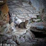 Esperanza Hilpert Profile Picture