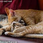 Delbert Kiehn Profile Picture