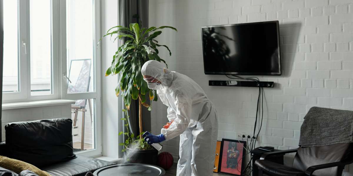 Keeping Your Home Clean and Safe: The Importance of Professional Cleaning and Pest Control Services