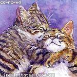 Shanny Ward Profile Picture