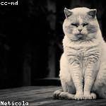 Skylar Kiehn Profile Picture