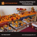 Kalsarp Durgesh Profile Picture