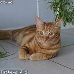 Tamia Torp Profile Picture