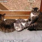 Leonie Kohler Profile Picture