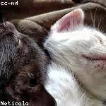 Lula Auer Profile Picture