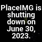 Domenico Roberts Profile Picture