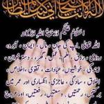 Ali Raza Profile Picture