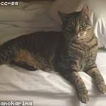 Deshawn Price Profile Picture