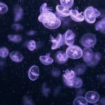 Gathoni Githinji Profile Picture