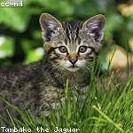 Berenice Abernathy Profile Picture