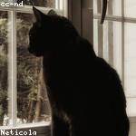 Lysanne Cruickshank Profile Picture