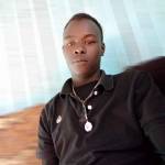 ken telo Profile Picture