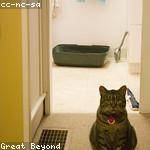 Jeremy Miller Profile Picture