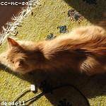 Jabari Walsh Profile Picture